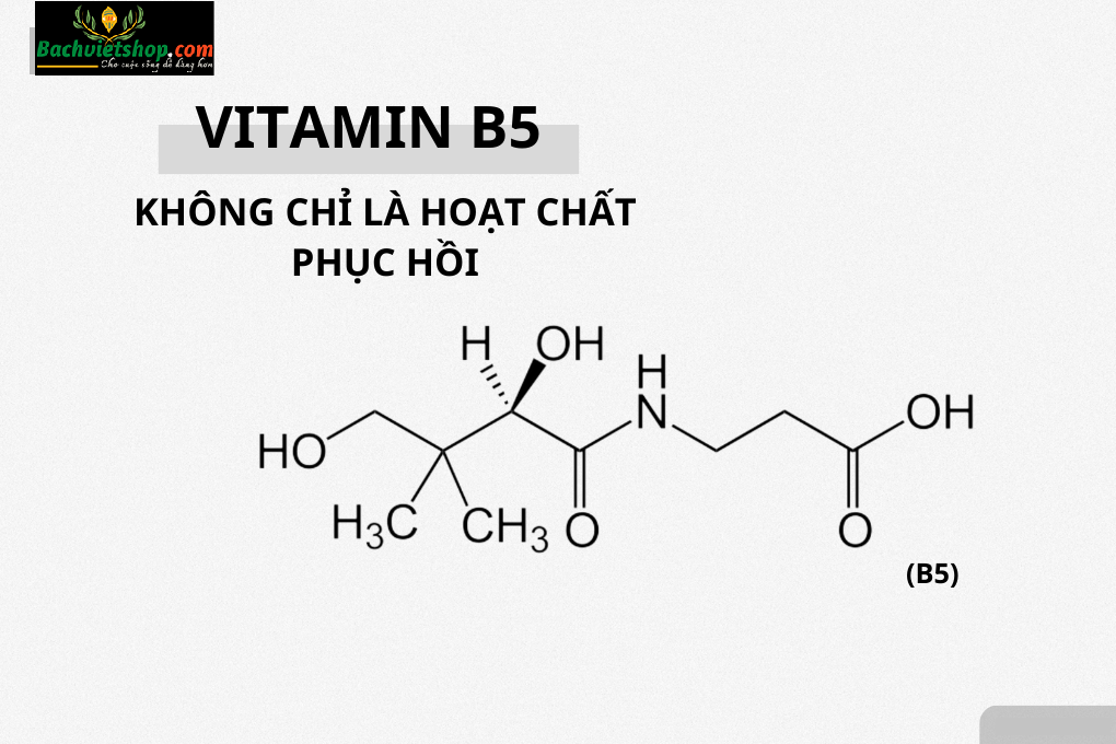 Vitamin B5 (Panthenol) - Hoạt chất phục hồi da đỉnh cao